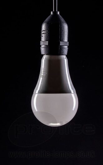 GLS 6.5W Dusk to Dawn Sensor Lamp