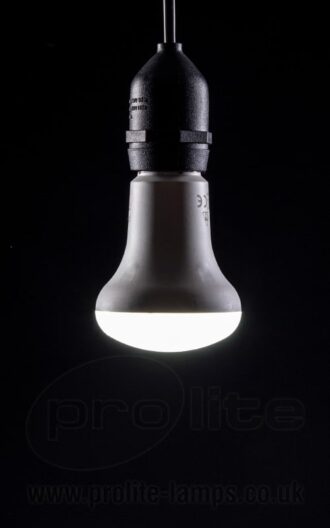 R50 Reflector Lamps Daylight White