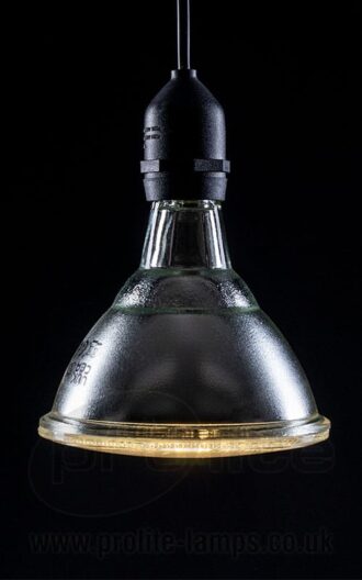 PAR38 15W IP65 Dimmable LED Reflector Lamps