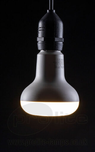 R080 Reflector Lamp Warm White