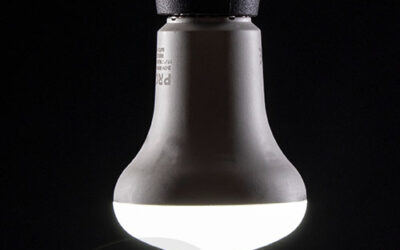 R63 LED Reflector Lamps in Warm White & Daylight