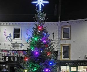 Grantham Town Christmas Tree 2019