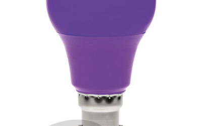 Polycarbonate 6w LED GLS Dimmable Purple