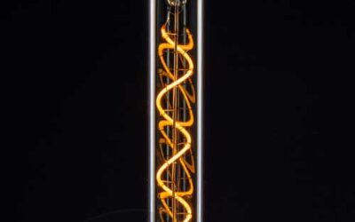 T30 4w LED Filament Lamp